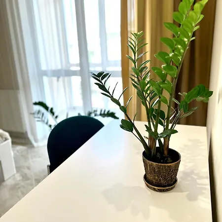 Osapart Perfect Apartment In A Complex Great Britain 利沃夫 外观 照片