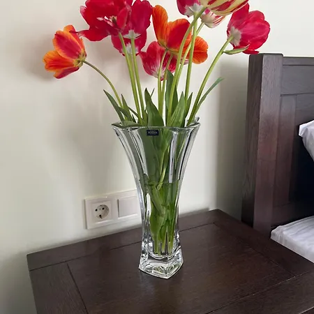 Osapart Perfect Apartment In A Complex Great Britain 利沃夫 外观 照片